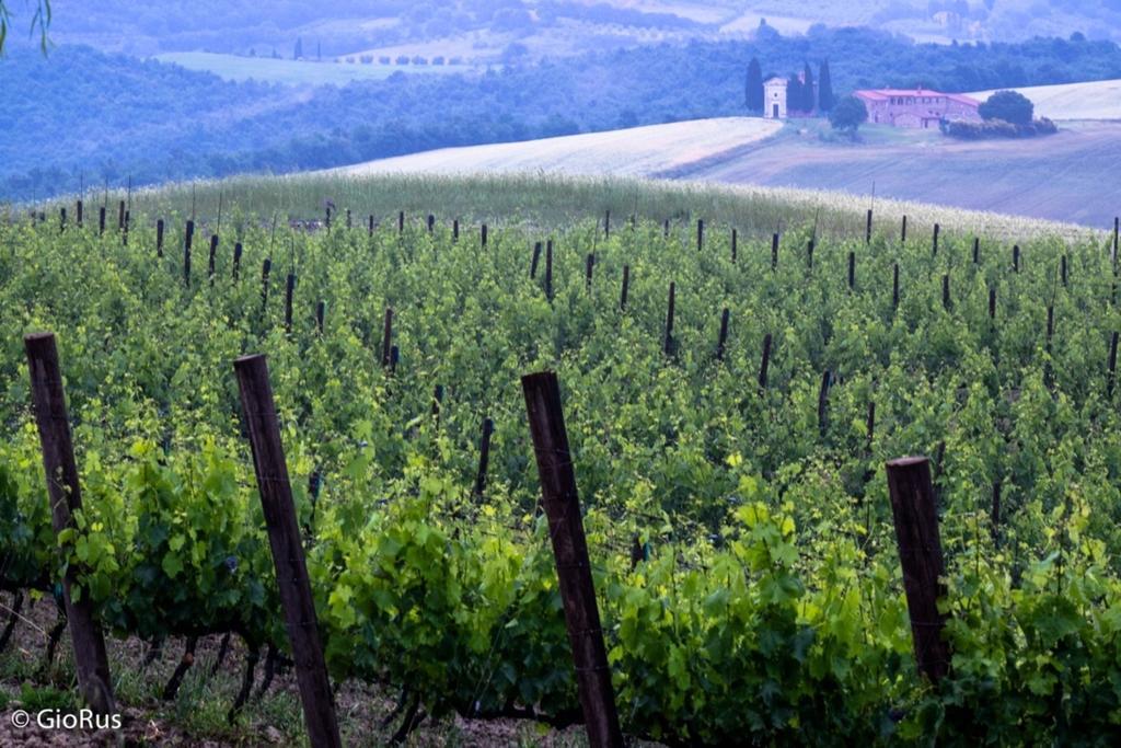 Agriturismo La Buca Di Bellugi San Quirico dʼOrcia Exteriér fotografie