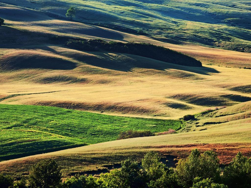 Agriturismo La Buca Di Bellugi San Quirico dʼOrcia Exteriér fotografie