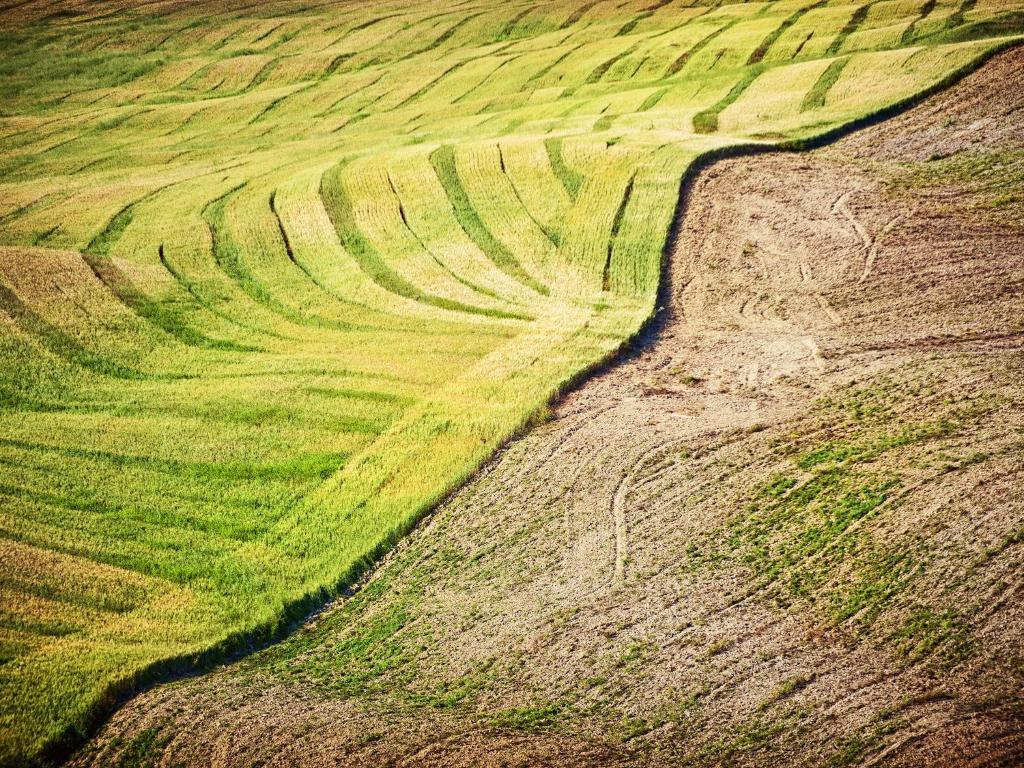 Agriturismo La Buca Di Bellugi San Quirico dʼOrcia Exteriér fotografie